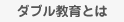 ダブル教育とは