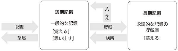 コラム　イメージ