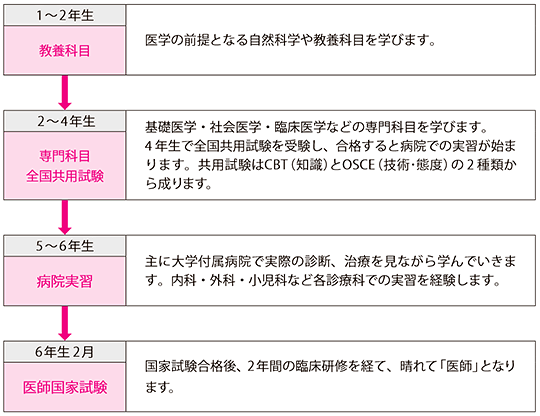 医学部6年間過程