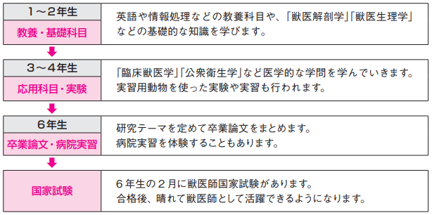 獣医師までの流れ