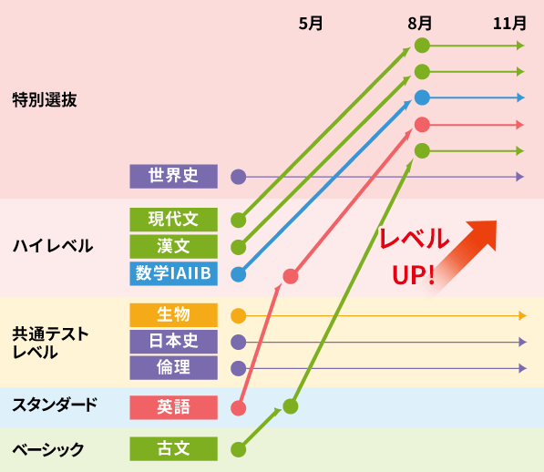 科目別レベルアップの推移例